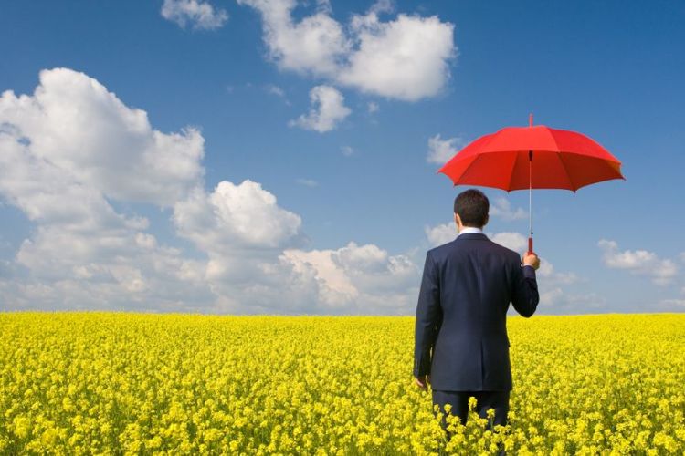 epilogi-portas-asfaleias